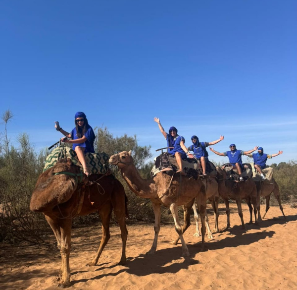 Sahara tours (38)