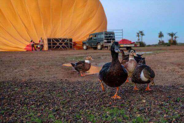 balloon-agadir-tour-1-1-1-1
