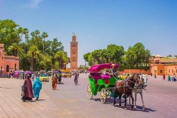 marrakech-day-trip-from-taghazout-min-1