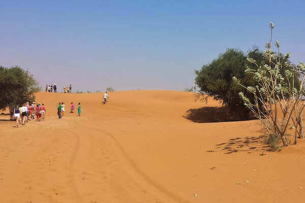 small-desert-trip-from-agadir-and-taghazout-morocco-1-1-1-1 (1)